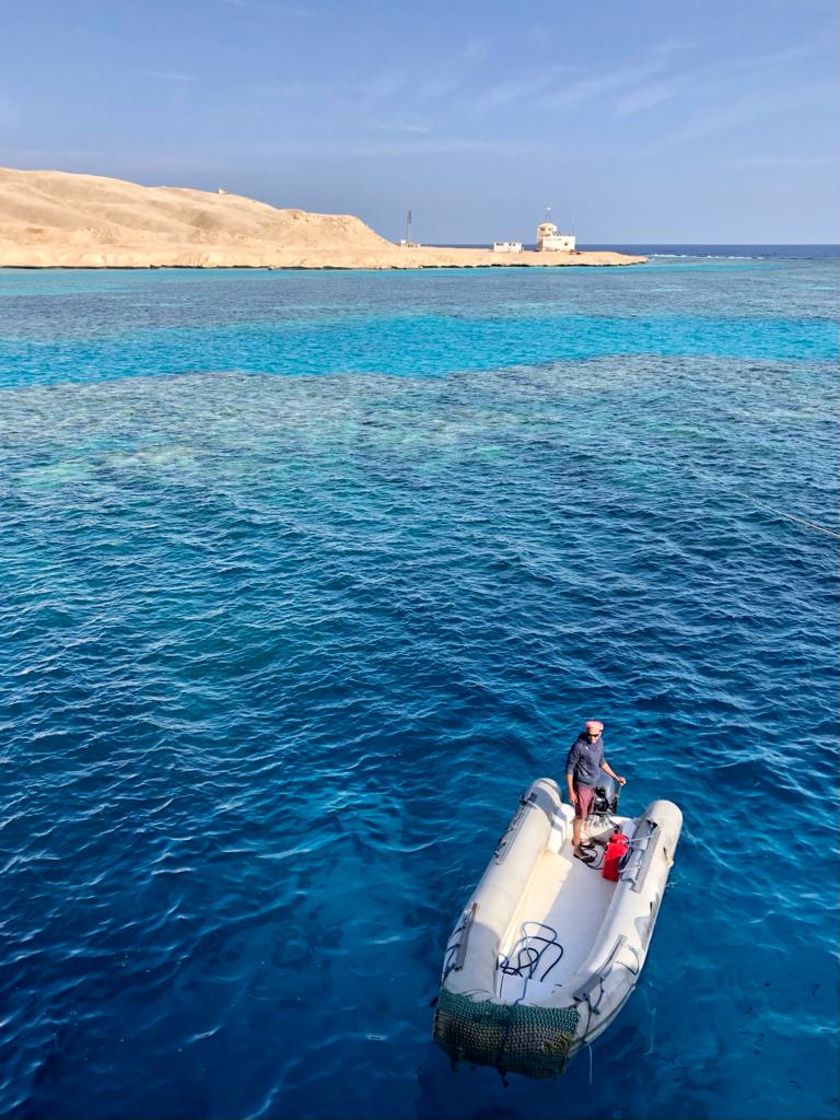 Red Sea Liveaboard Egypt experience